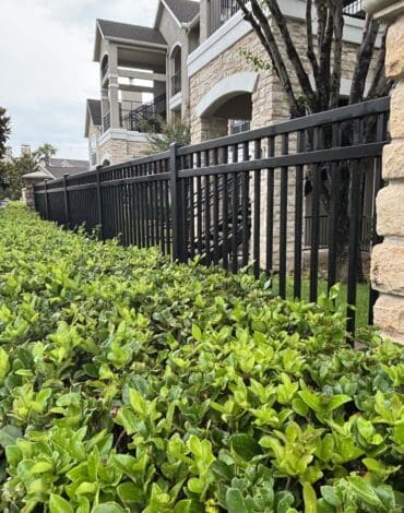 Residential steel security perimeter fence in Austin TX for galvanized steel vs powder coated steel fence comparison